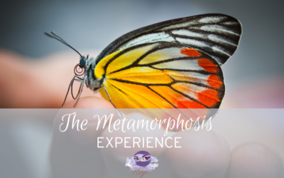 The Metamorphosis Experience: growing through change